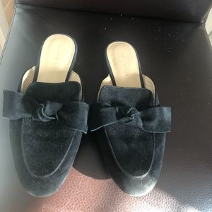 Ann Taylor suede slipons